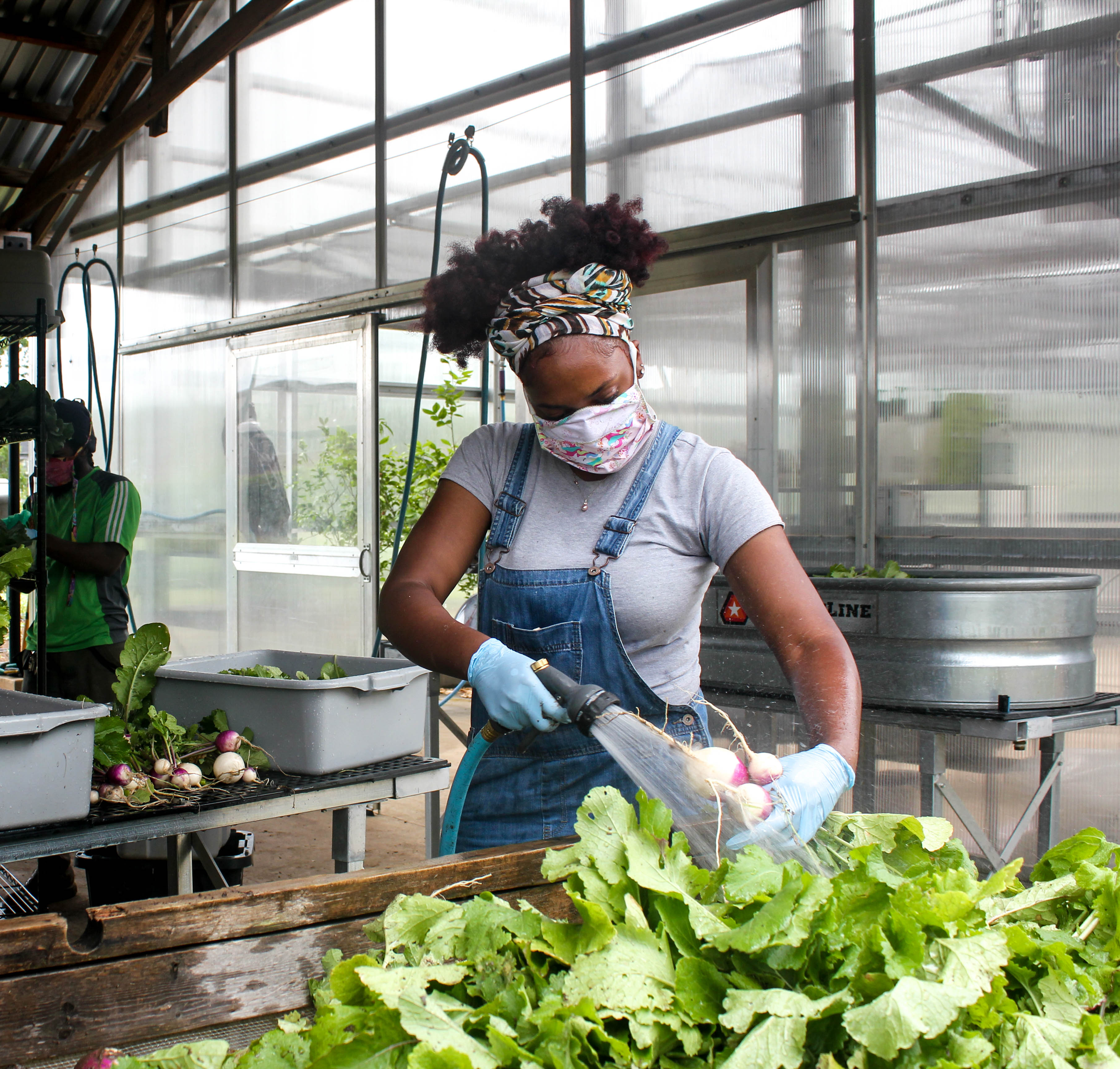 Jones Valley Teaching Farm